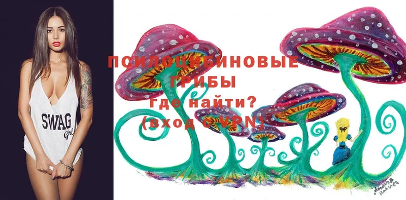 Галлюциногенные грибы Cubensis Зеленокумск